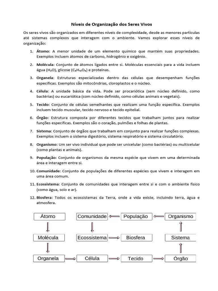 Níveis de Organização dos Seres Vivos | PDF