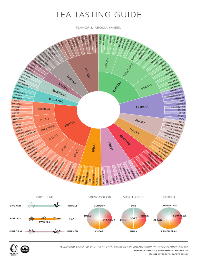 YoungMountainTea-Tea Tasting Guide-11x17 | PDF