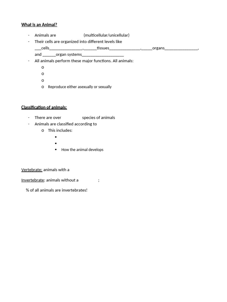All About Animals | PDF