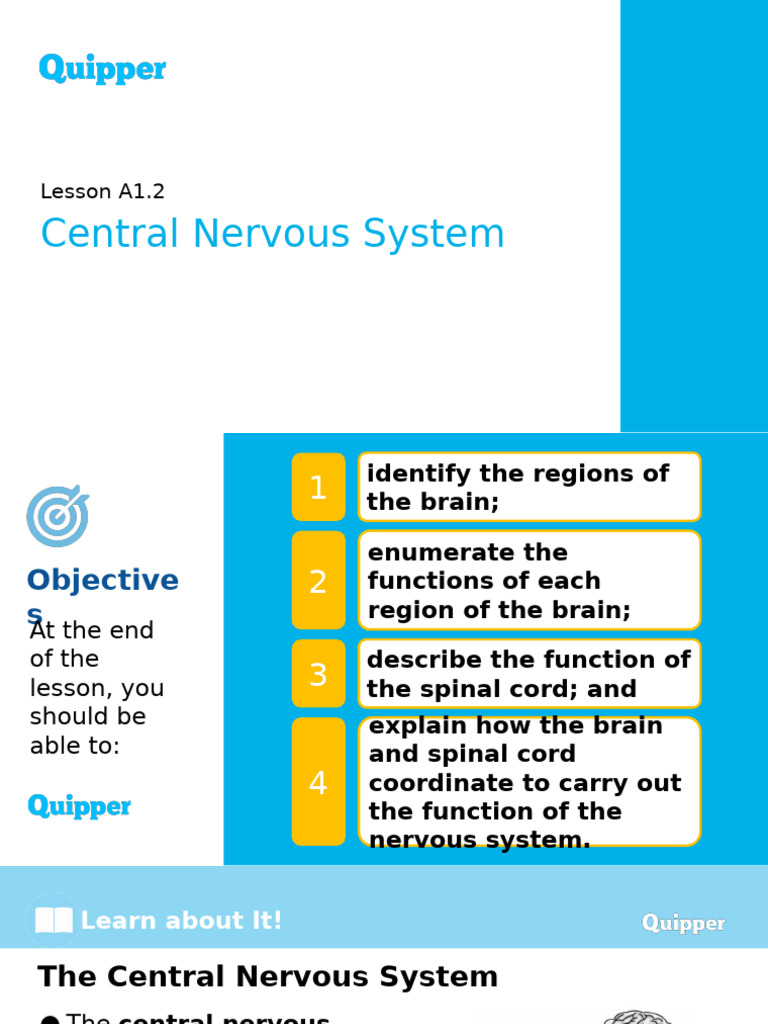 Science 10 A1.2 Central Nervous System | PDF | Cerebrum | Vertebral Column