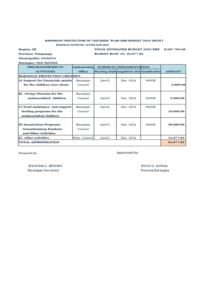 Barangay Child Protection Budget 2024 | PDF