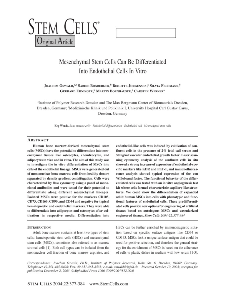 Mesenchymal Stem Cells Can Be Differentiated Into Endothelial Cells in ...