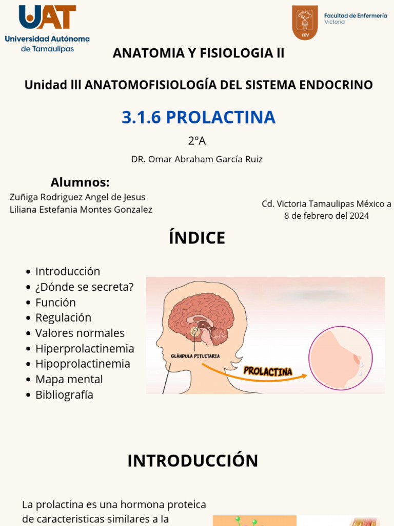 Prolactina: Funciones y Regulación Hormonal | PDF | Hormona | La salud ...