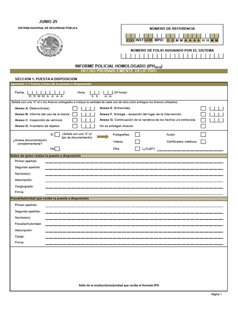 Formato IPH 2025: Informe Policial | PDF | Queja | Adolescencia
