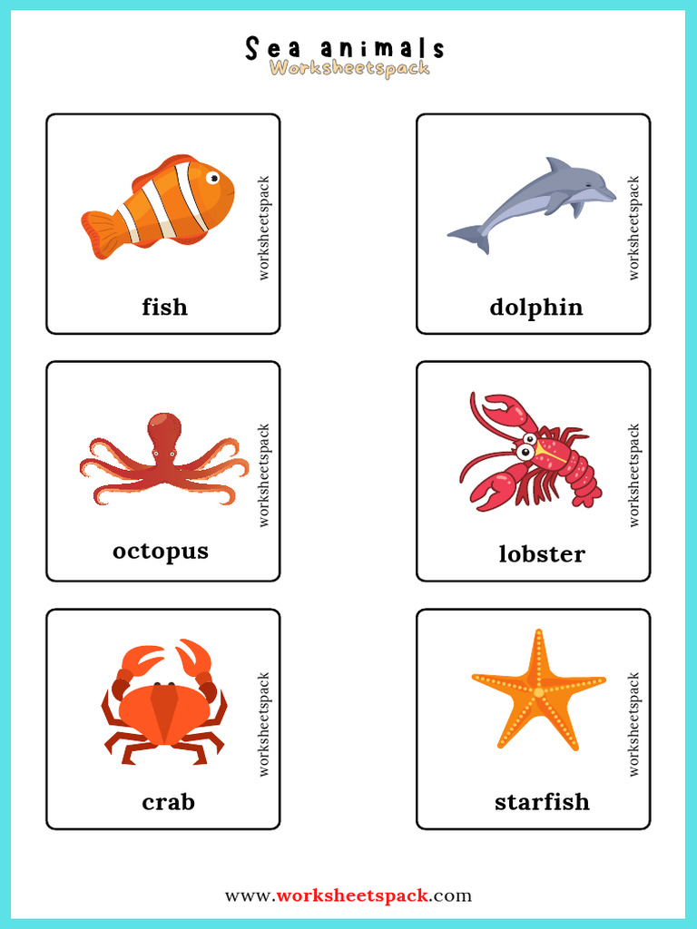 Sea Animals Worksheet Pack | PDF
