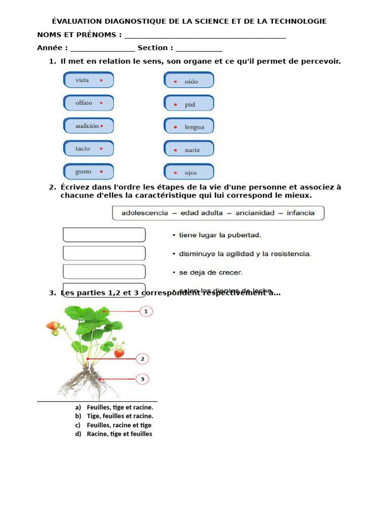 Évaluation diagnostique de la science et de la technologie | PDF
