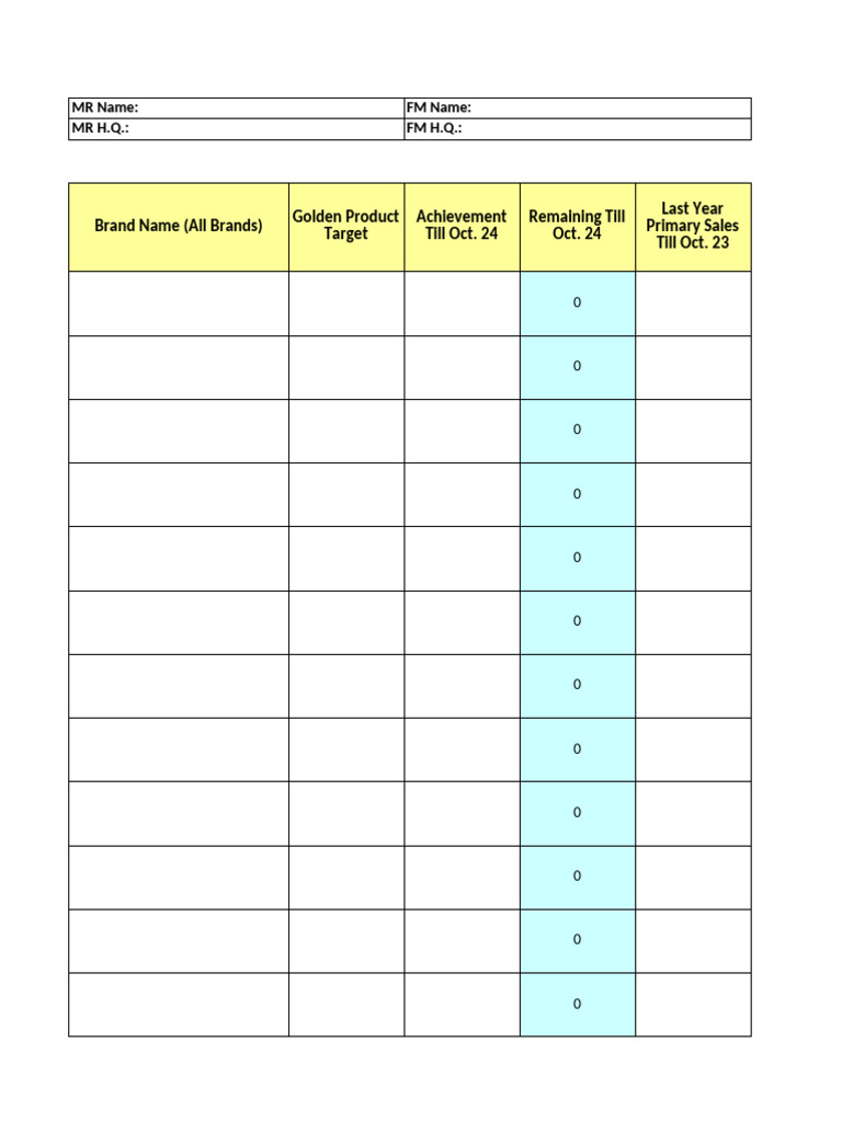 Sales Performance Action Plan 2024 | PDF