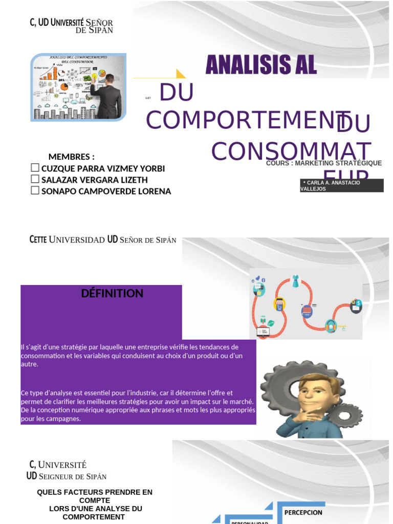 Analyse du Comportement du Consommateur | PDF | Consommateurs | Psychologie