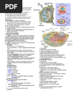 Microbe Handout 2012