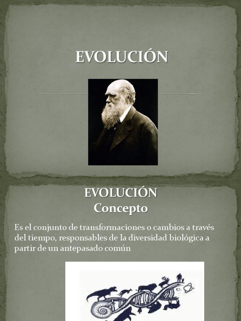 Historia y Teorías de la Evolución | PDF | Evolución | Gene