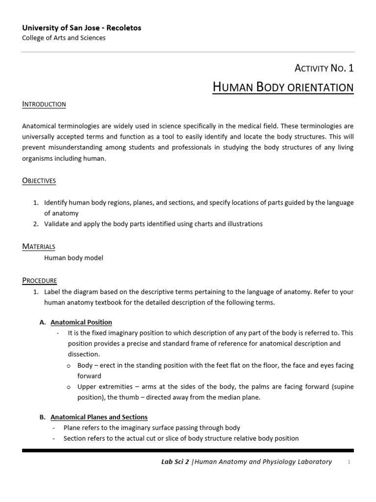 Human Body Orientation in Anatomy Lab | PDF | Anatomical Terms Of ...