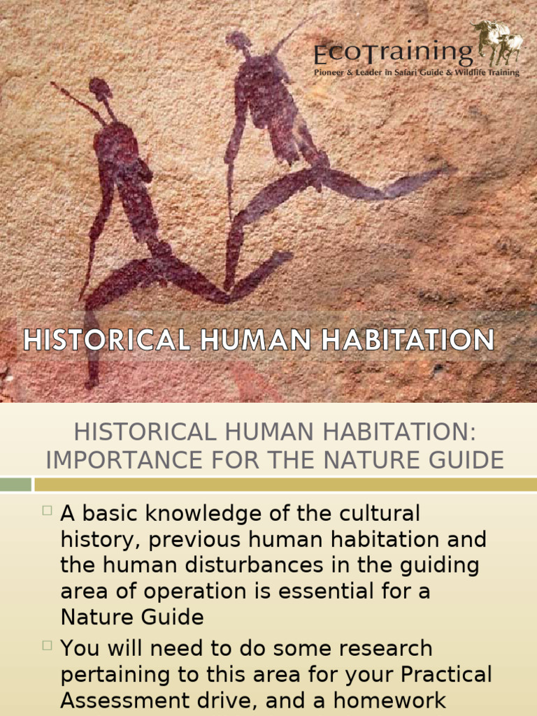 Historical Human Habitation in Africa | PDF | Stone Age | Homo