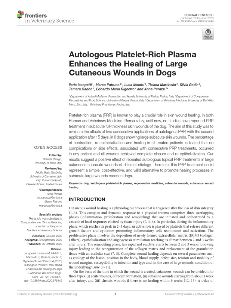 Autologous Platelet-Rich Plasma Enhances The Healing of Large Cutaneous ...