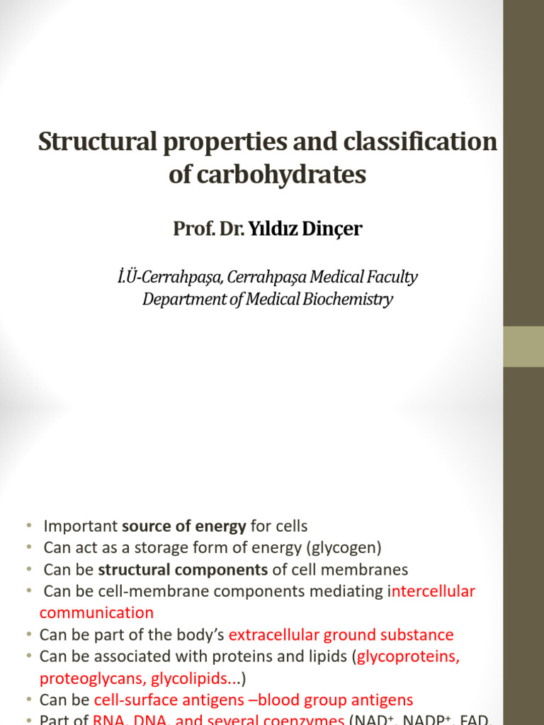 Carbohydrates: Structure & Function | PDF | Carbohydrates | Glucose
