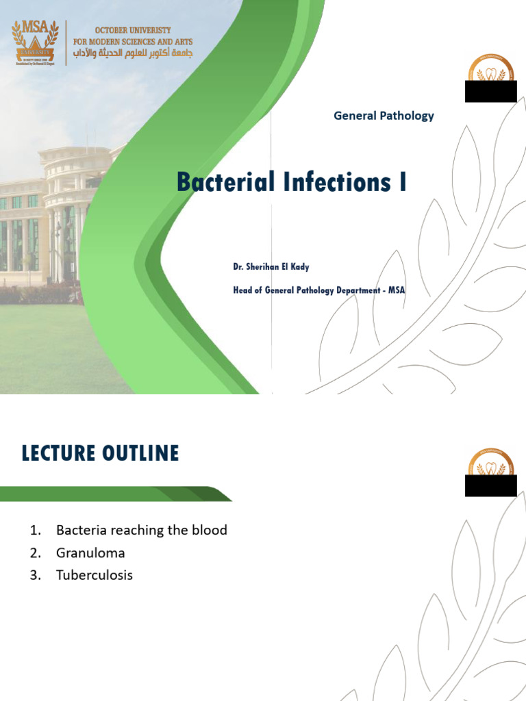 Overview of Bacterial Infections | PDF | Tuberculosis | Immune System