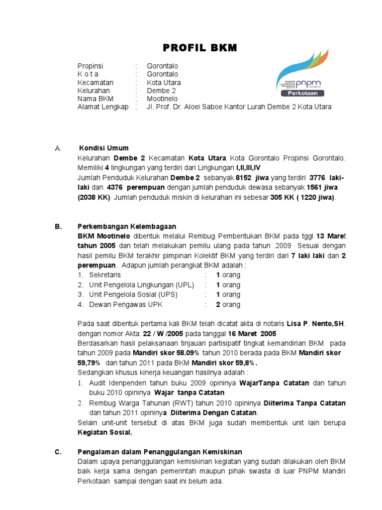 Contoh Profil BKM 2011 Demde 2 | PDF