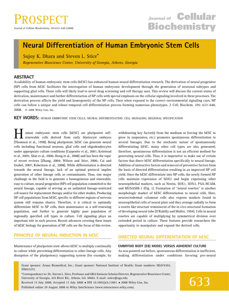J of Cellular Biochemistry - 2008 - Dhara - Neural Differentiation of ...