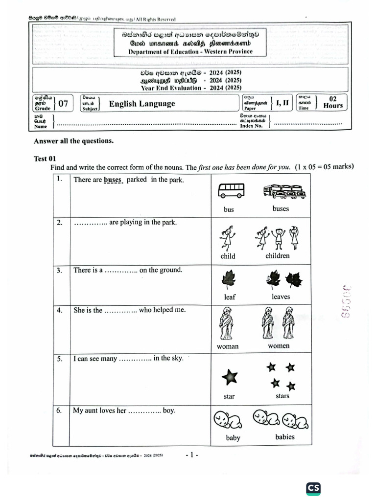 English - Grade 7 - Third Term Test 2024 - Western Province | PDF