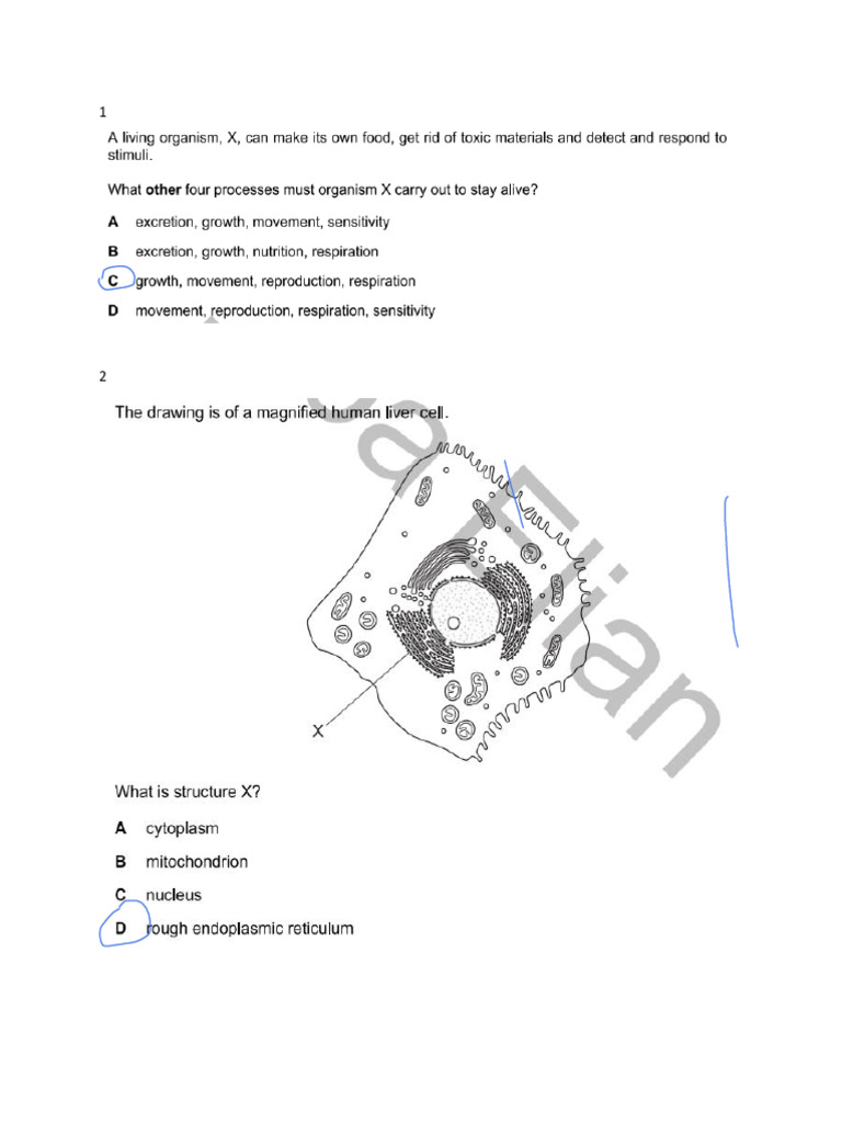 Exam 2 P2 | PDF
