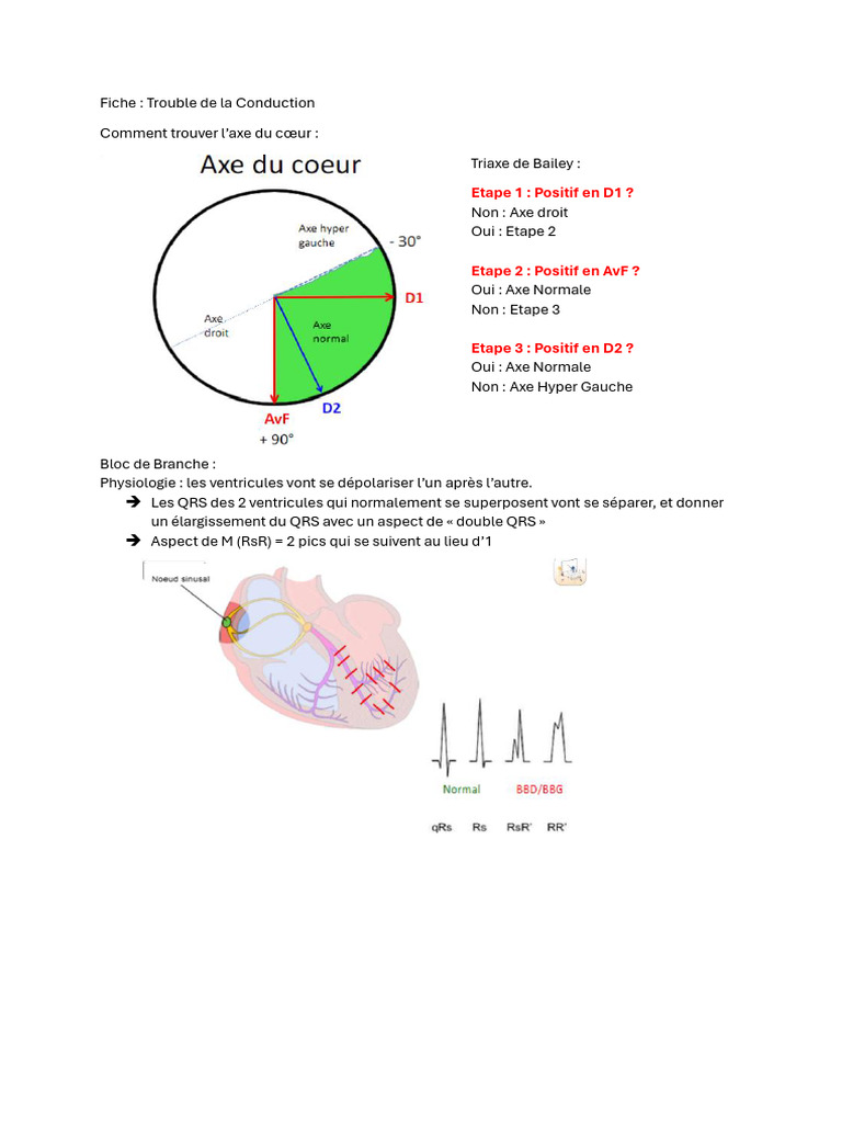 Identification des Axes Cardiaques ECG PDF Électrocardiographie — free download