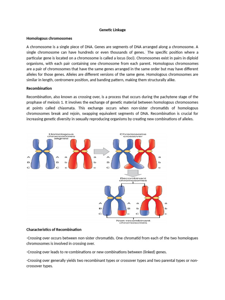 Understanding Genetic Linkage Types | PDF | Genetic Linkage | Genetic ...