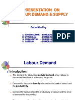 Labour Demand & Supply