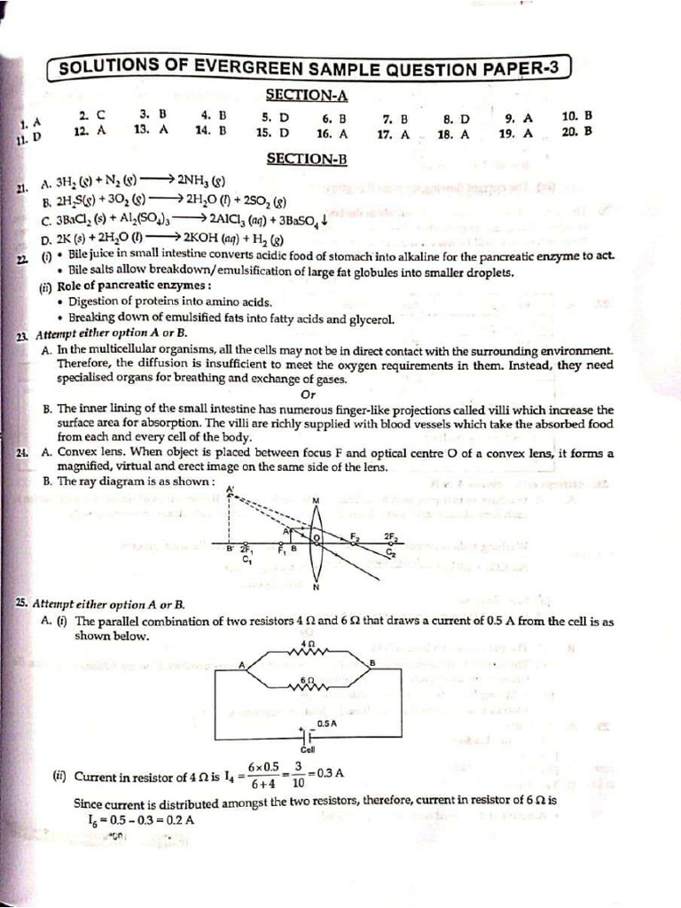 Sample Paper 3 | PDF