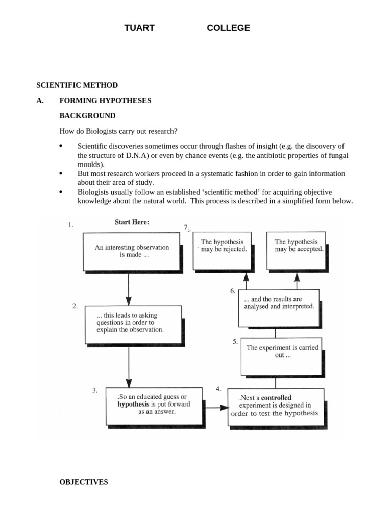 Understanding the Scientific Method | PDF | Experiment | Scientific Method