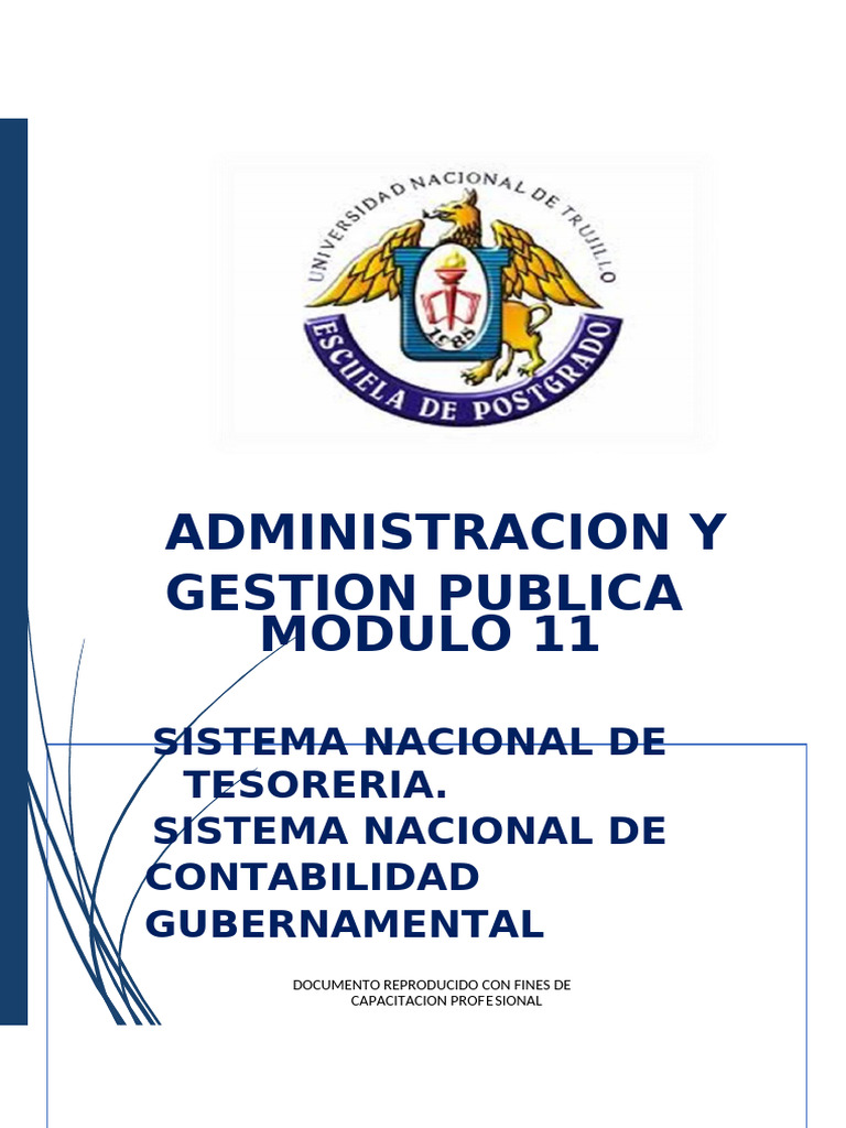 Modulo 11 | PDF | Contabilidad | Auditoría