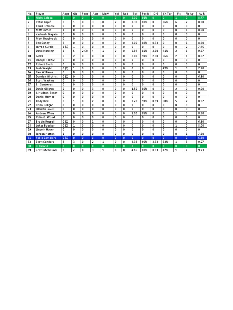 Player Performance Statistics Summary | PDF