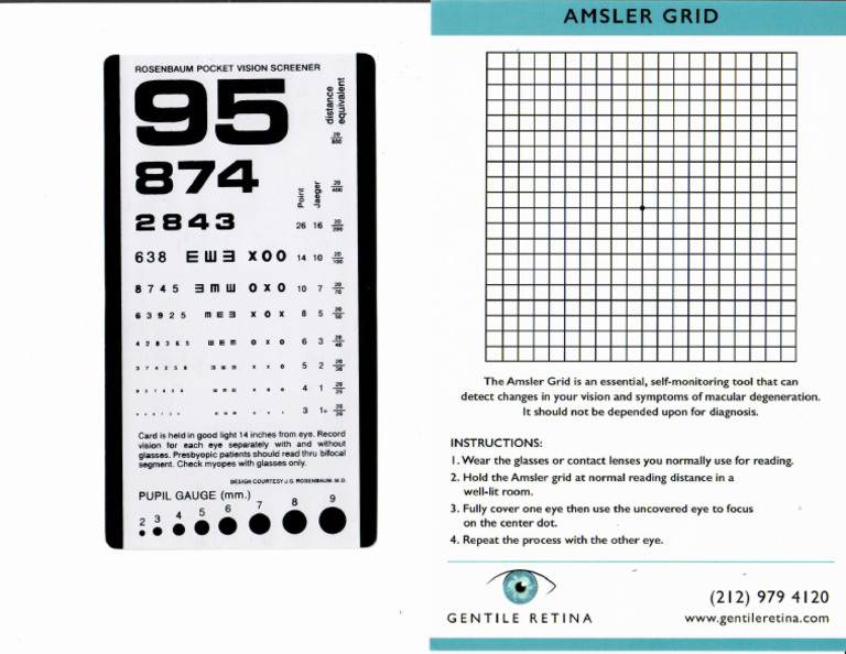 Vision Screener and Amsler Grid | PDF