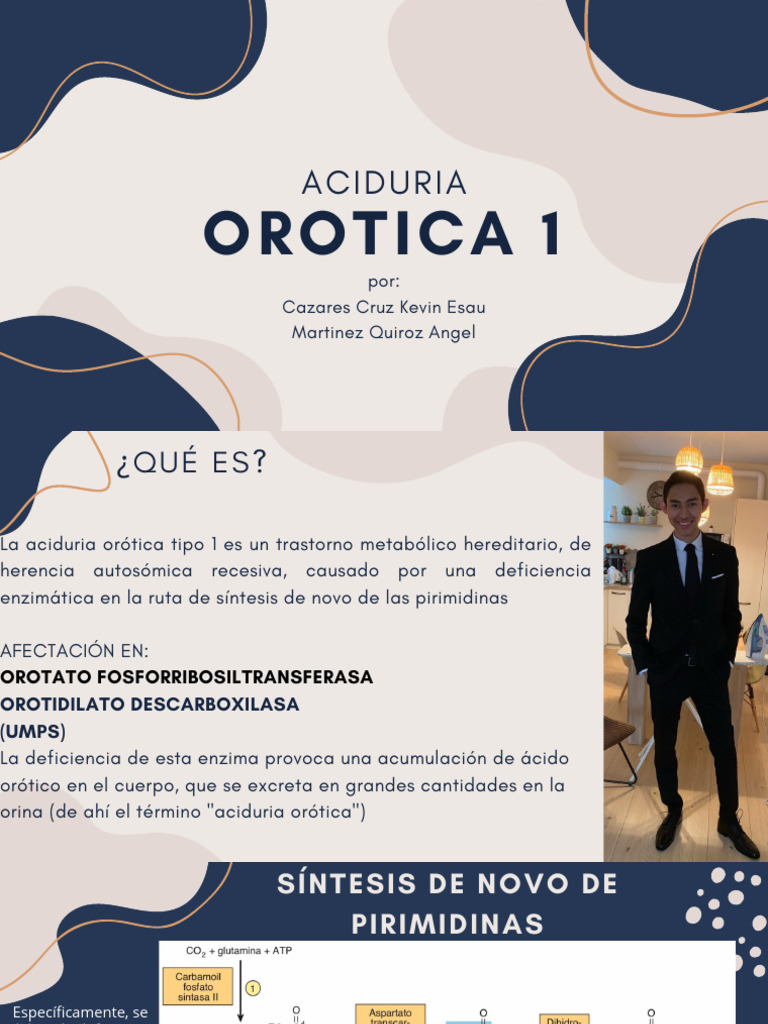 Aciduria Orotica: Diagnóstico y Tratamiento | PDF