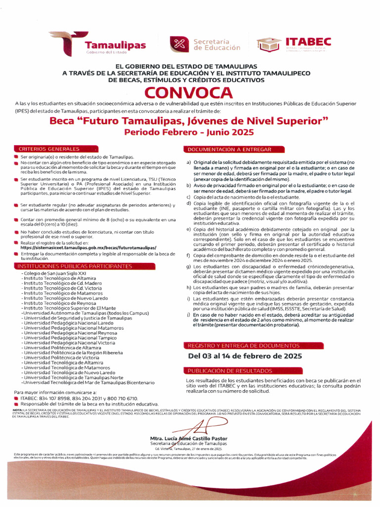 Convocatoria Beca Futuro FJ 2025 | PDF