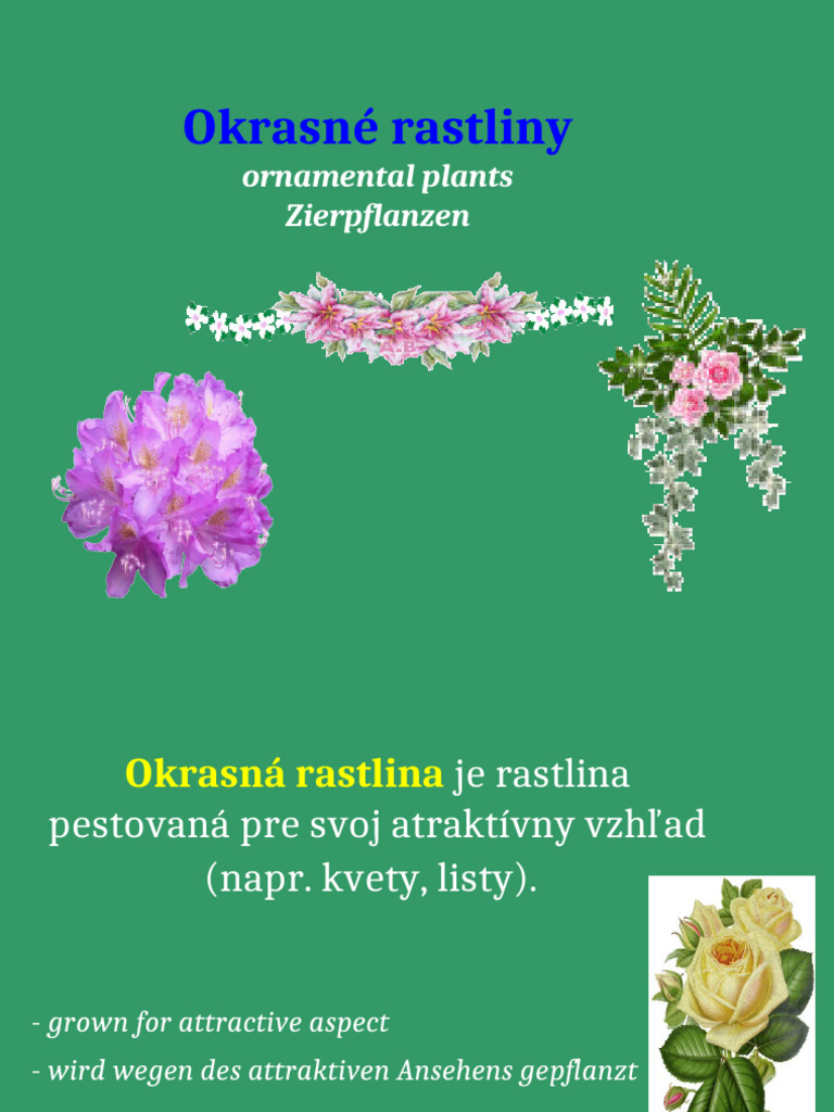 Okrasné Rastliny - Trilingválne | PDF