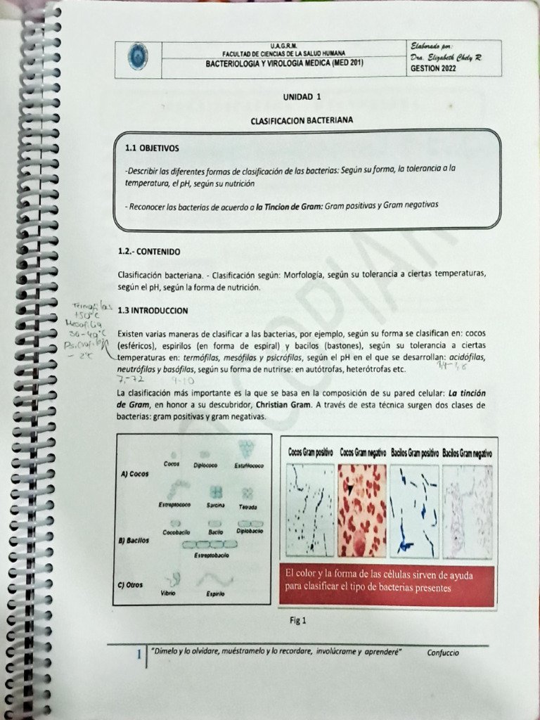 Scan 04 Ene 25 23 33 25 | PDF