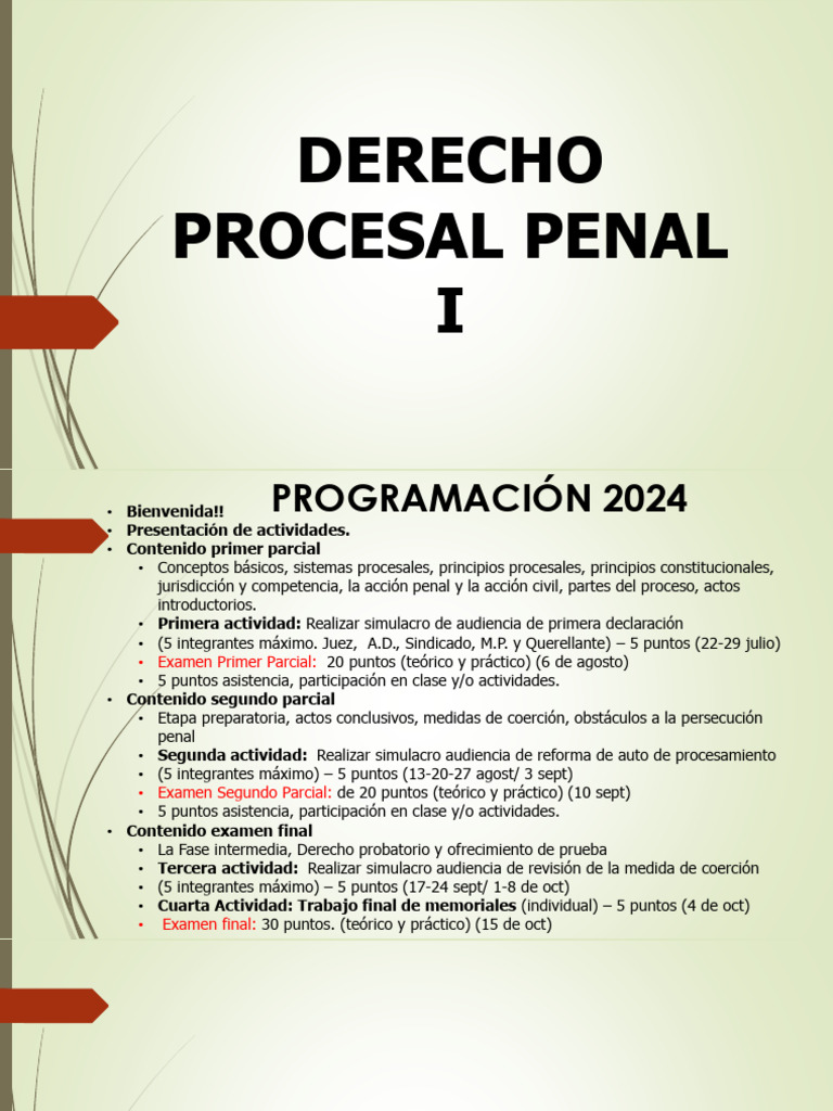 Programación Derecho Procesal Penal 2024 | PDF | Derecho penal | Ley ...