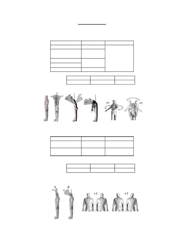 Formulario Metodo Reba | PDF