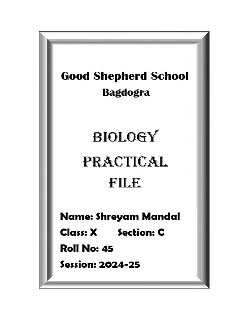 Bio Cover | PDF