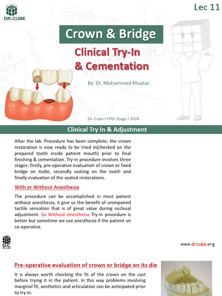 Crown Try-In and Cementation Guide | PDF | Dentistry Branches | Materials