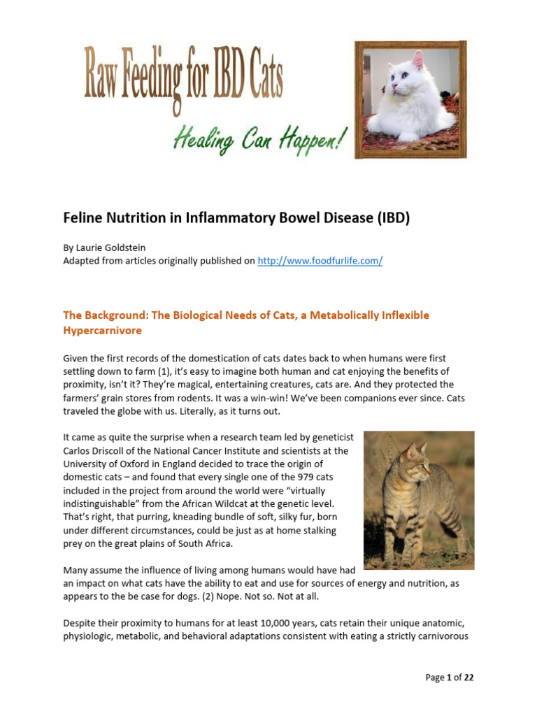 Nutritional Management Of Feline Myelofibrosis preview