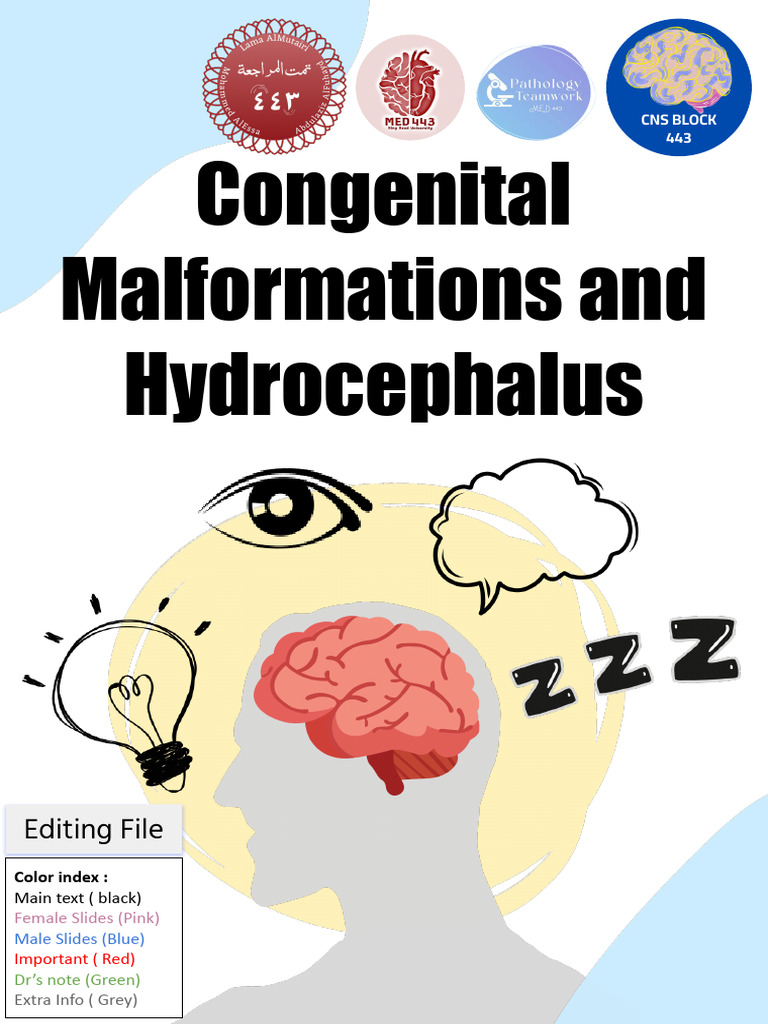 Congenital Malformations & Hydrocephalus | PDF | Cerebrospinal Fluid ...