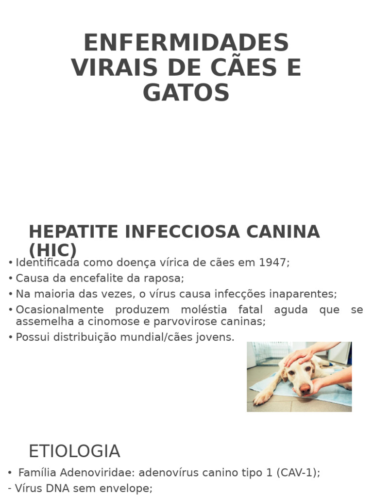 AULA 3 ENFERMIDADES VIRAIS DE CÃES E GATOS 2 | PDF | Vírus | Gatos