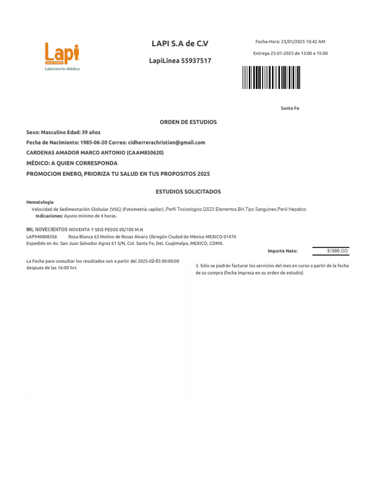 Lapi S.A de C.V: Lapilinea 55937517 | PDF