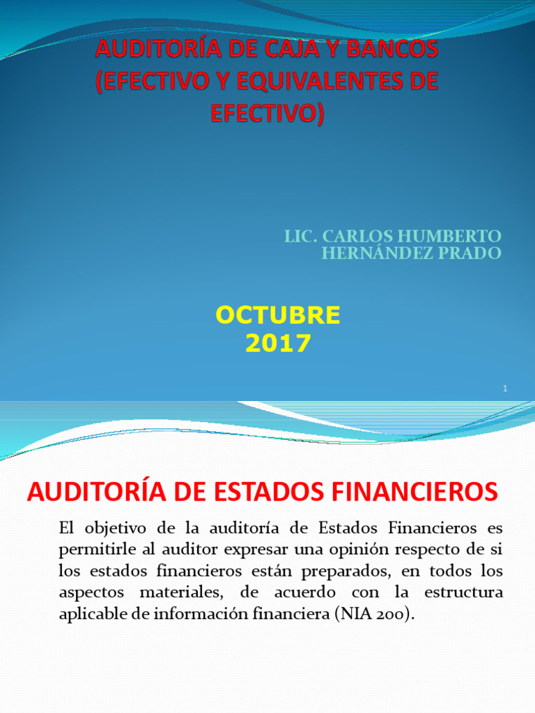Auditoría de Estados Financieros y Control Interno | PDF | Auditoría ...