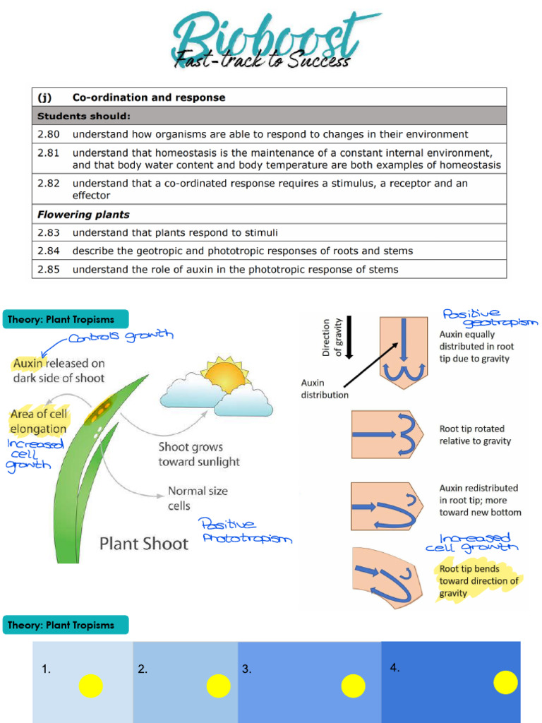 Coordination 0 Response | PDF