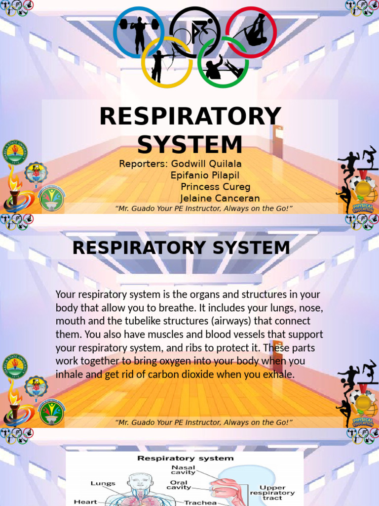 Understanding the Respiratory System | PDF | Breathing | Respiratory System