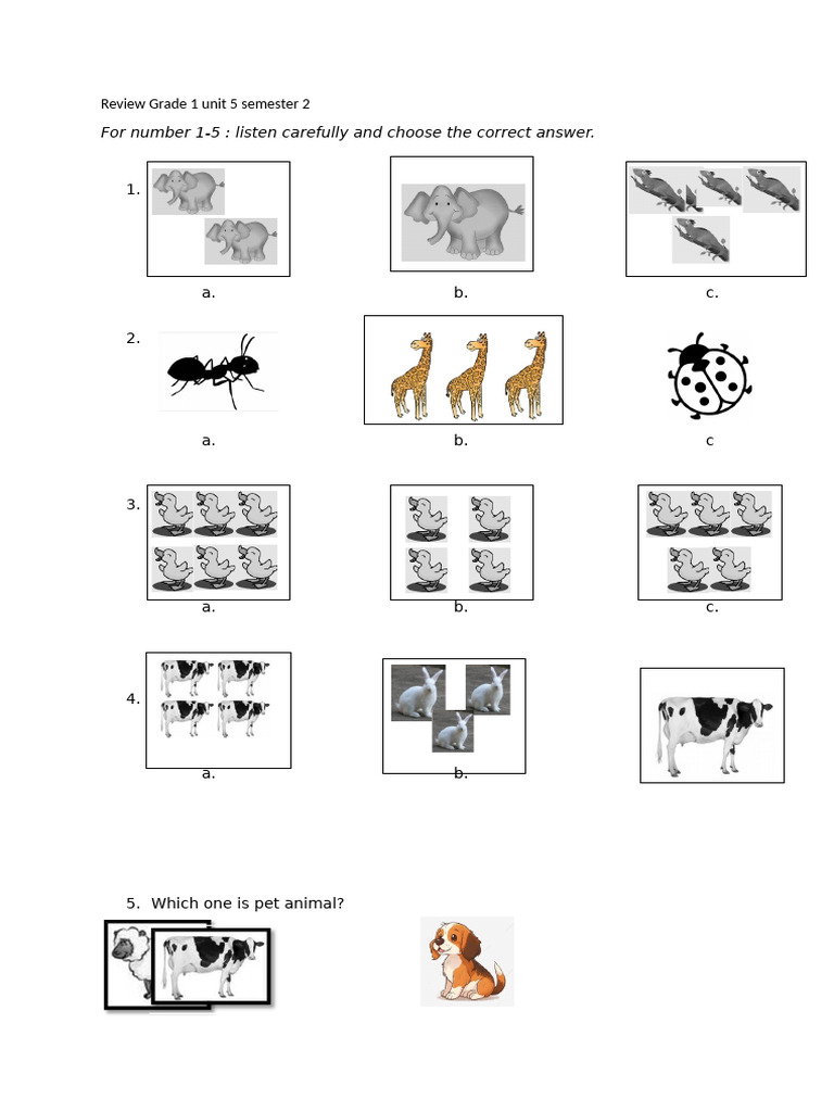 Grade 1 Unit 5 Review Questions | PDF | Zoology | Animals And Humans