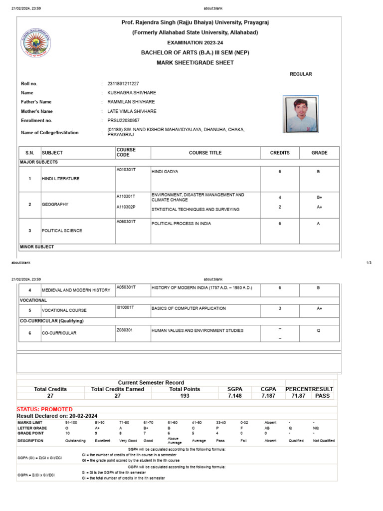 B.A. III Semester Mark Sheet 2024 | PDF