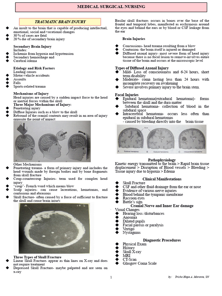 Understanding Traumatic Brain Injury and Stroke | PDF | Stroke ...