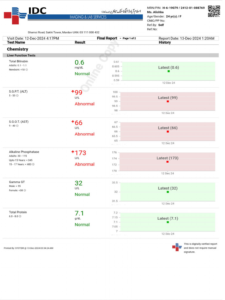 Patient Report PDF | PDF
